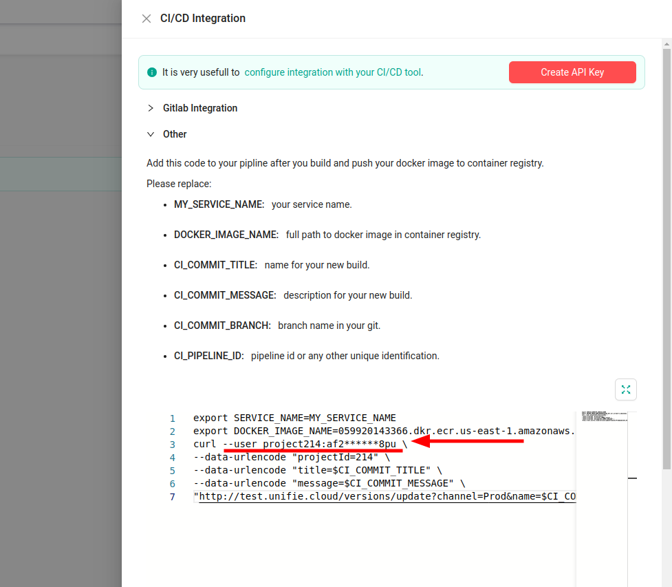 use ci/cd api key